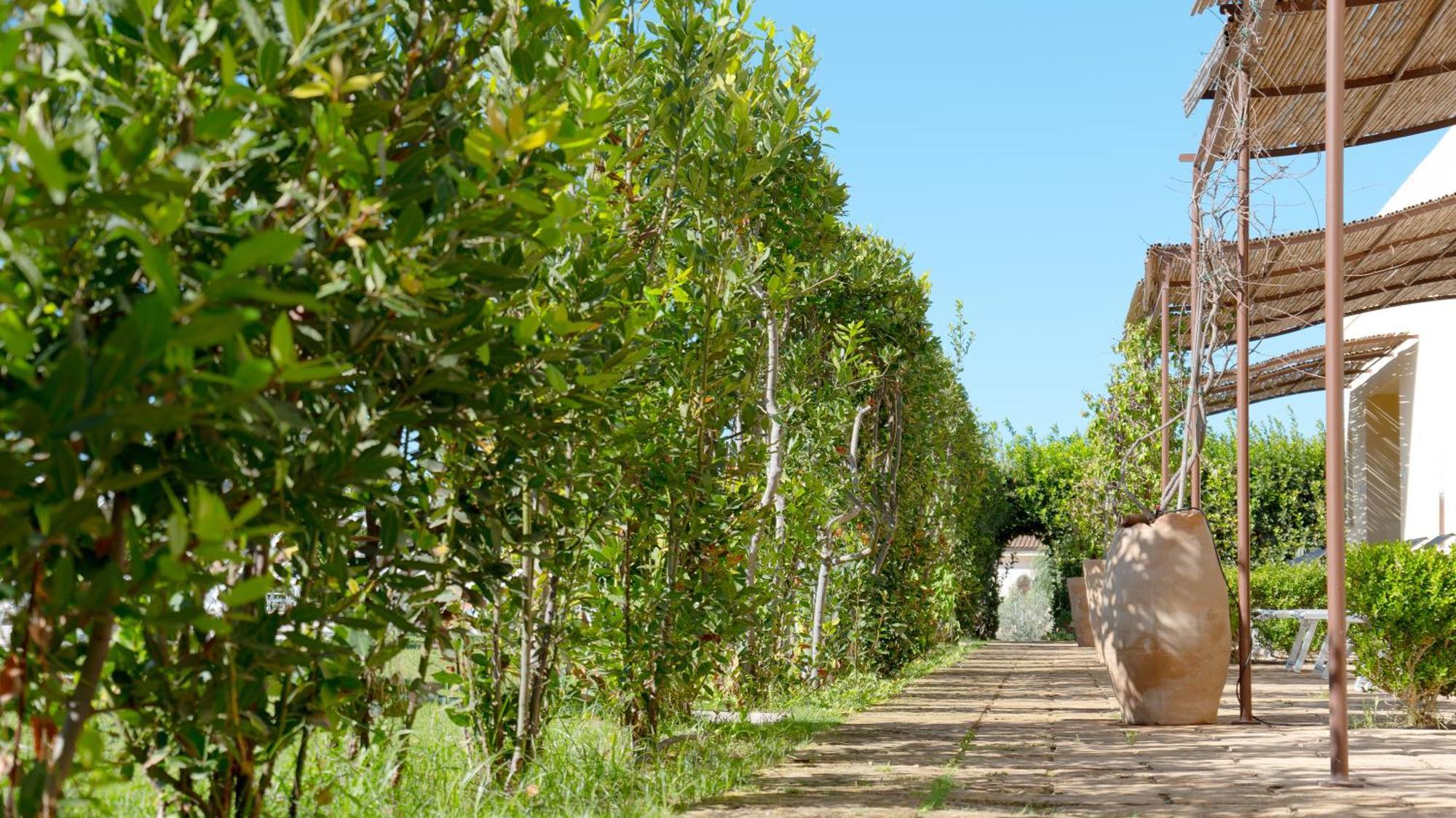 Delle Rose, Hotel & Horse Riding Torre Vado Exterior foto