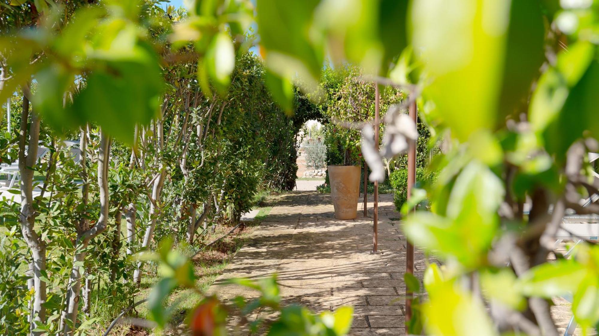 Delle Rose, Hotel & Horse Riding Torre Vado Exterior foto